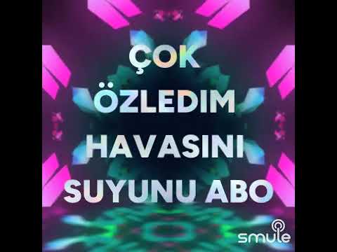 fadimenin dügünü