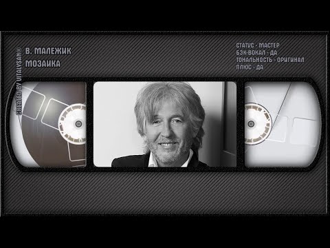 Вячеслав Малежик - Мозаика