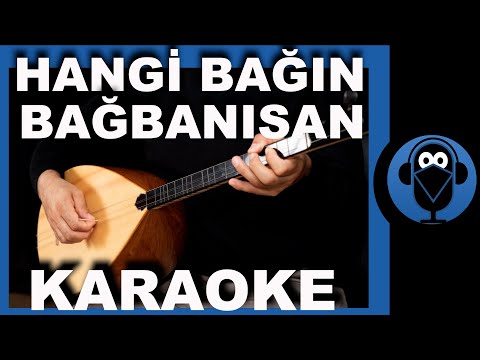 Hangi Bağın Bağbanısan / (Türkü Karaoke) / COVER