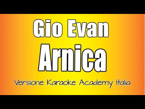 Gio Evan - Arnica