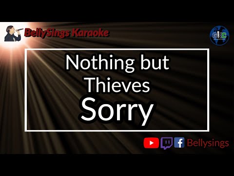 Nothing But Thieves - Sorry