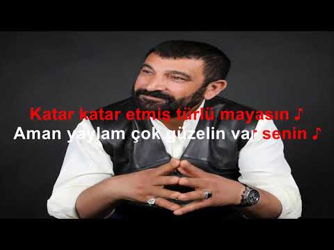 Ateş Ali Aman Yaylam Çok Güzelin Var Senin