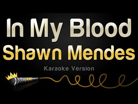 Shawn Mendes - In My Blood