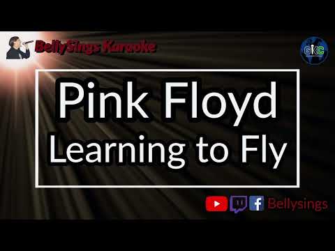 Pink Floyd - Learning to Fly