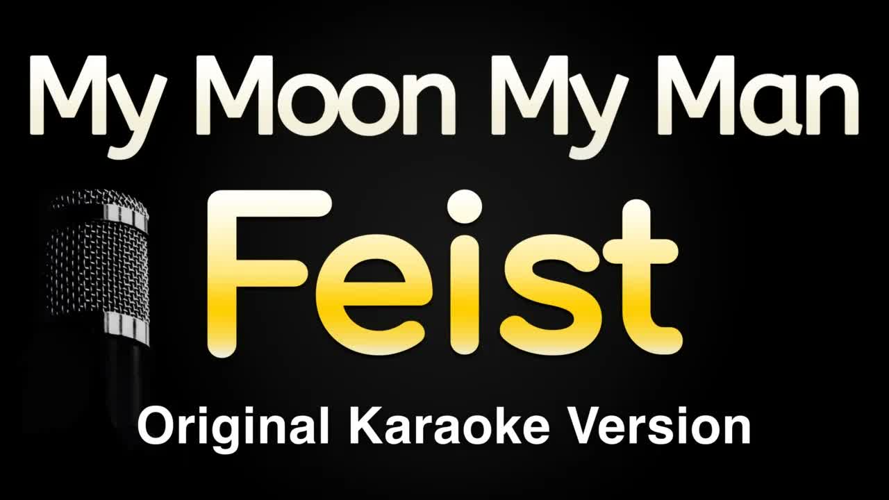 Feist - My Moon My Man