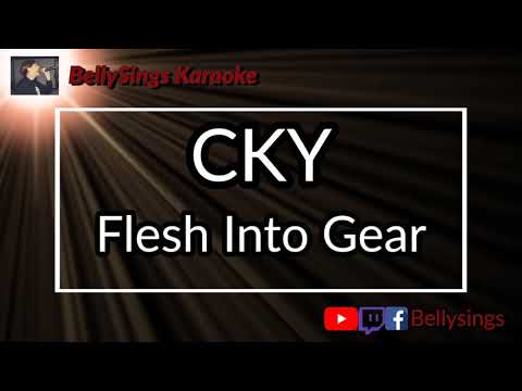 CKY - Flesh Into Gear