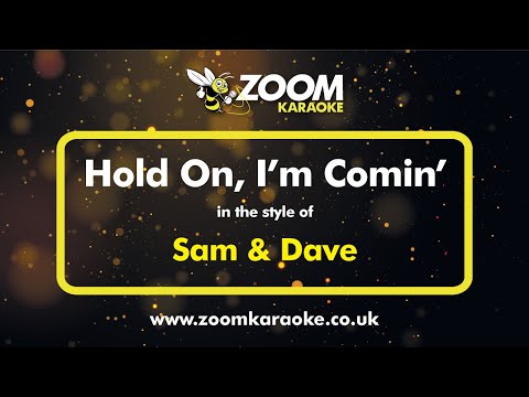 Sam & Dave - Hold On, I'm Comin'