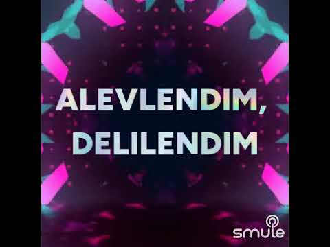 Ben bir tek kadın sevdim