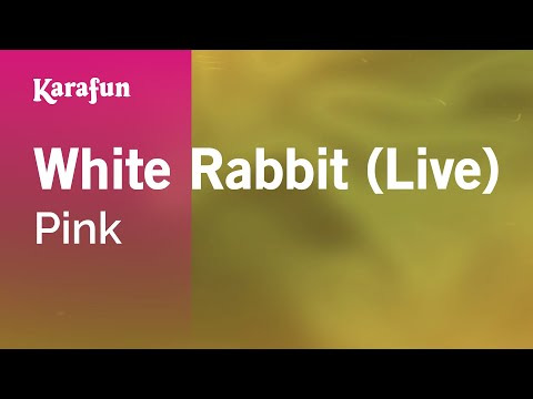 Pink - White Rabbit (live)