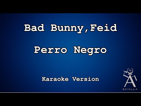 Bad Bunny, Feid - Perro Negro