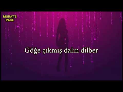 Nalın Dilber *Oğuz YILMAZ*