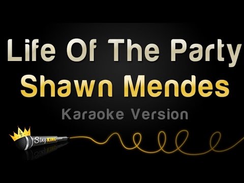Shawn Mendes - Life Of The Party