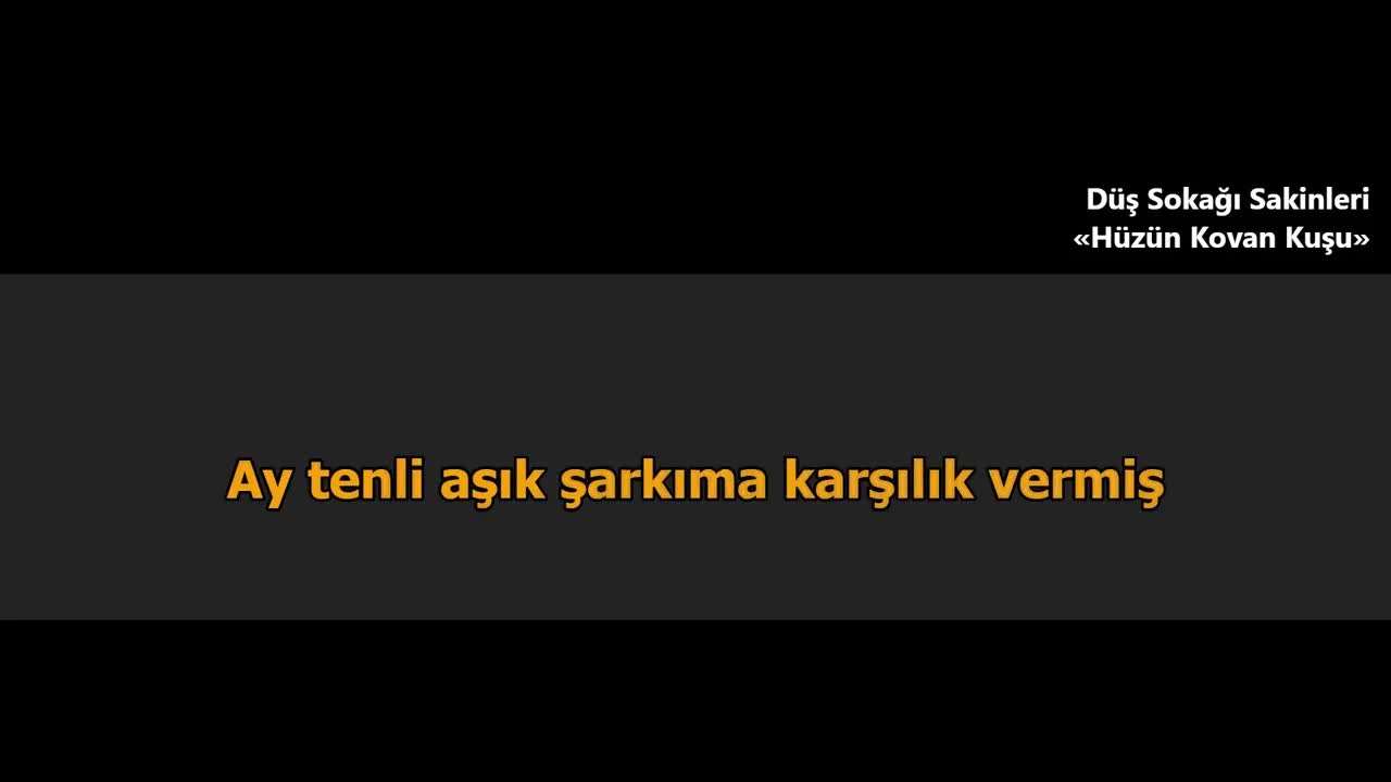 Düş Sokağı Sakinleri - Hüzün Kovan Kuşu