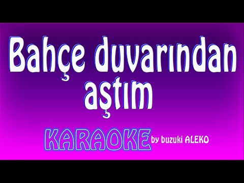 Bahçe duvarından aştım