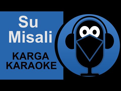 Orhan Ölmez / Su Misali - KARGA KARAOKE Lyrics (Cover) 2020