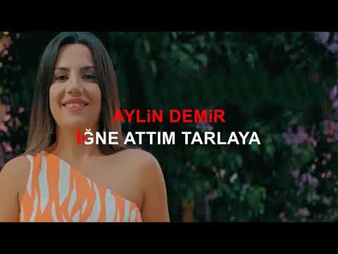 AYLiN DEMiR İĞNE - ATTIM TARLAYA 3 FARKLI KARAR İÇ İÇE AYNI VİDEODA