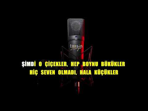 Tan Taşçı - Bazı Gerçekler