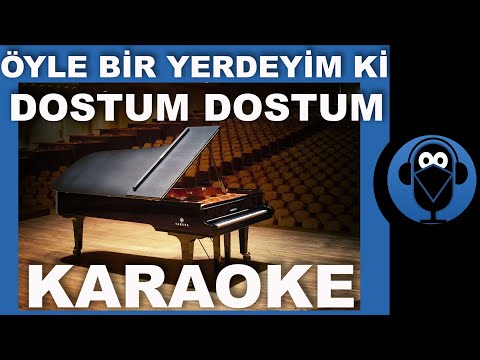 SELDA BAĞCAN - ÖYLE BİR YERDEYİM Kİ (DOSTUM DOSTUM)