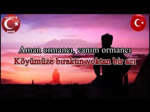 AMAN ORMANCI