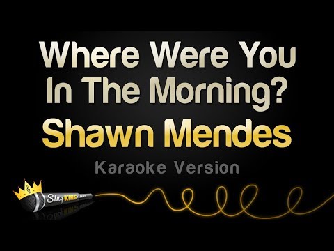 Shawn Mendes - Where Were You In The Morning?