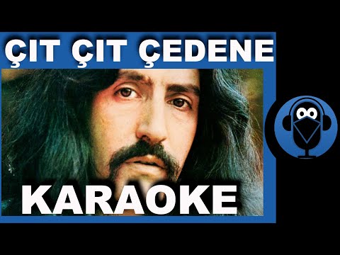 Barış Manço - Çıt Çıt Çedene