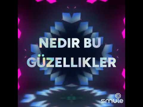 Karadeniz potpori