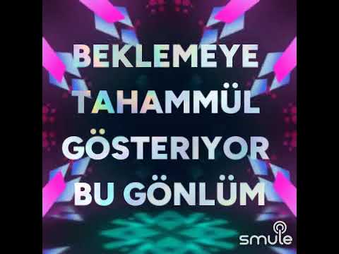 Kimbilir