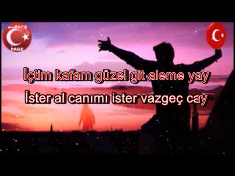 Ne Sayarsan Say