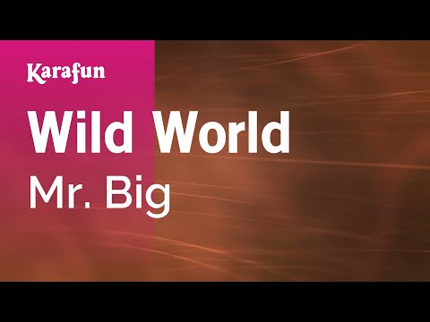 Mr. Big - Wild World