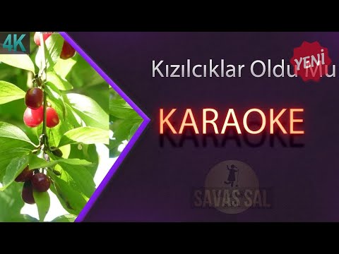 Kızılcıklar Oldu Mu Traditional Folk Song