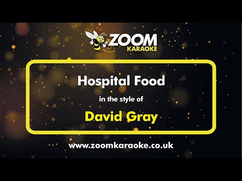 David Gray - Hospital Food