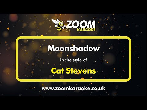 Cat Stevens - Moonshadow