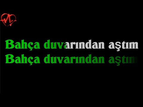 Erik Dalı / Bahça Duvarından Aştım - KARAOKE versiyon