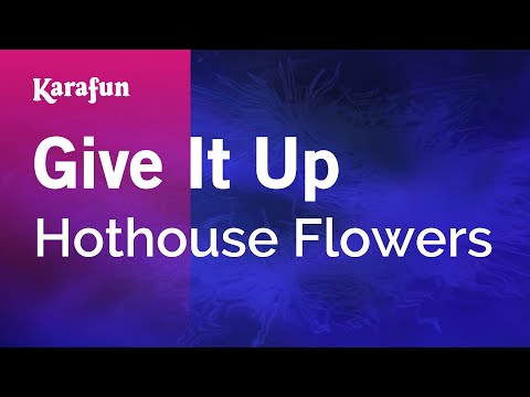 Hothouse Flowers - Give It Up