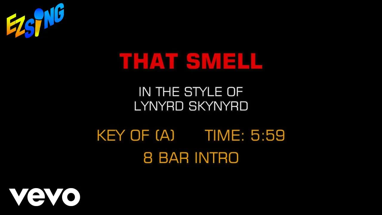 Lynyrd Skynyrd - That Smell