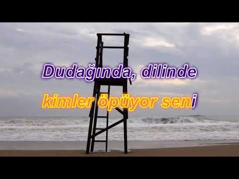 sezen aksu - seni kimler aldı