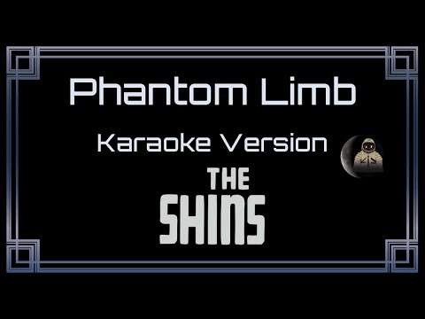 The Shins - Phantom Limb