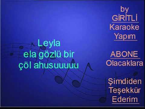 HALİL KARADUMAN - Leyla