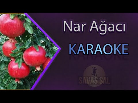 Nar Ağacı