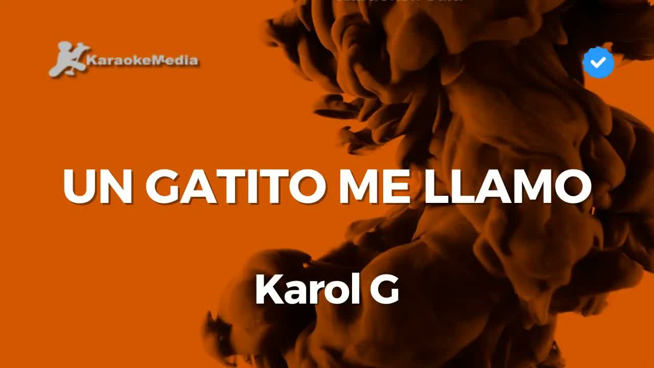 Karol G - Un gatito me llamó | Instrumental con letra