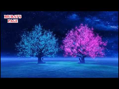 Ömür Dediğin Nedir & Son Durak Kara Toprak
