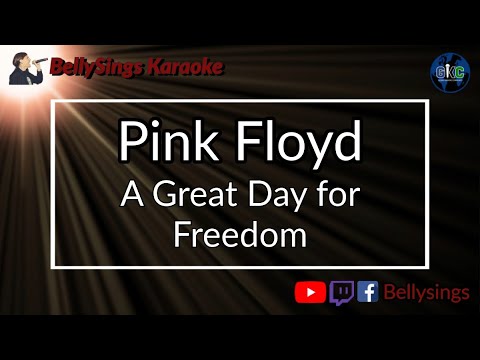 Pink Floyd - A Great Day for Freedom
