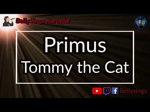 Primus - Tommy the Cat