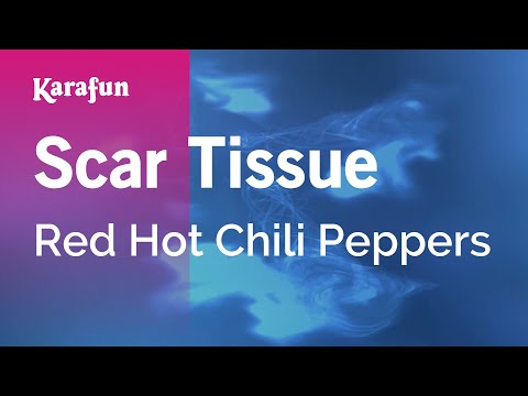 Red Hot Chili Peppers - Scar Tissue