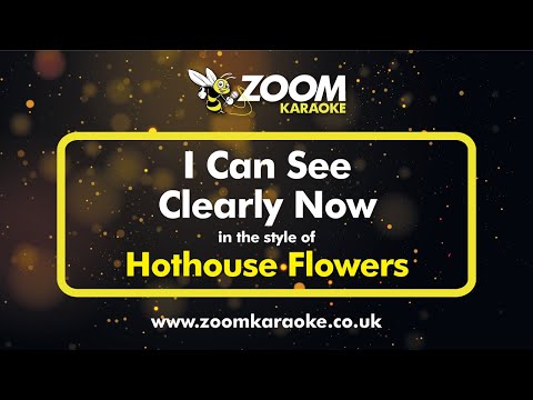 Hothouse Flowers - I Can See Clearly Now