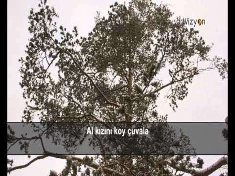 Karaçalı Türküsü