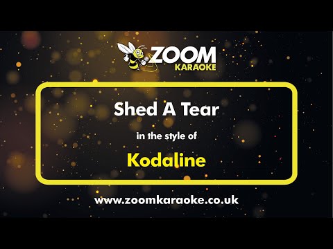 Kodaline - Shed A Tear