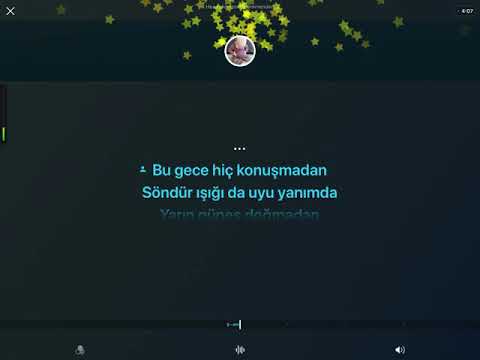 Ajda Pekkan - Son yolcu