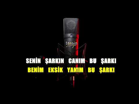 Ali Kınık - Bu Şarkı