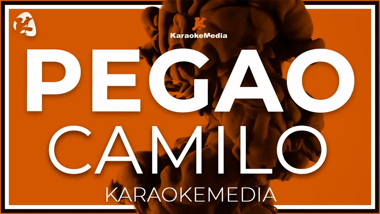 Camilo - Pegao